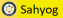 cropped cropped sahyog logo.png